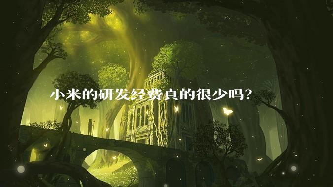 小米的研发经费真的很少吗？